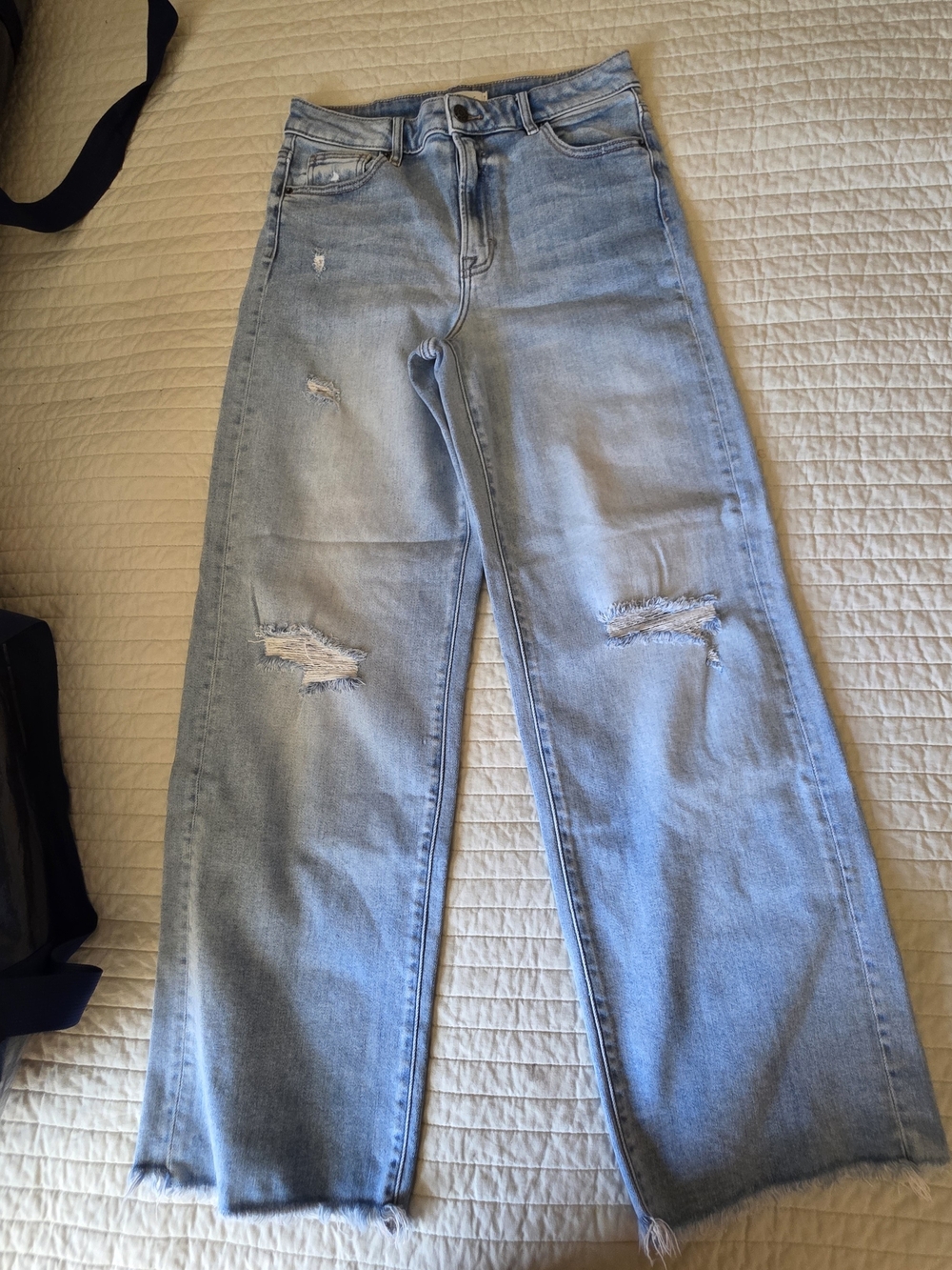 Carly Jean Los Angeles Dylan Dad Light Blue Distressed Wide-Leg Jeans